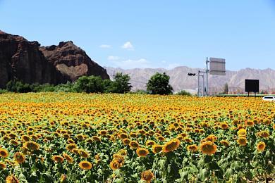 传闻：任天堂将在本周举行新直面会 包含第一方游戏